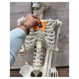 Hyde & Eek! 60" Light-Up Skeleton Decor
