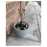 PLANTER (OUTSIDE)