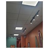 TRACK LIGHTS WITH 3 HEADS (LOCATED IN FORT LAUDERD