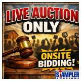 BULK LOT - HOUSEHOLD ESTATE -  ABSOLUTE AUCTION