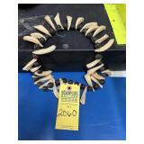 Tribal Necklace - Animal Teeth & Black Seeds - app