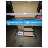 ASSORTED DOG STEPS - 2- PLAY-ON CARPET (IN BOX) /