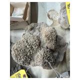 LOT GEODES