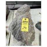 LOT GEODES
