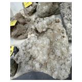LOT GEODES