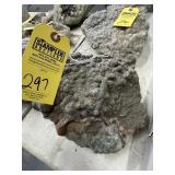 LOT GEODES