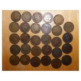 (29) Indian Head pennies