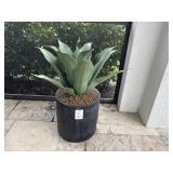 3PC OUTDOOR FAUX PLANTS