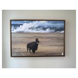 FRAMED CANVAS FRAMED CANVAS
