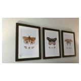 3PC FRAMED PRINTS