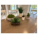 5PC FAUX SUCCULENTS