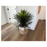 FLOOR PLANT
