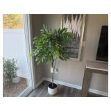 LARGE FLOOR PLANT