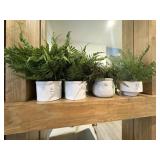 4PC FAUX PLANTS