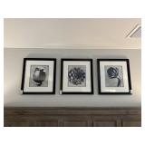 5PC FRAMED PRINTS