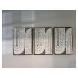 3PC FRAMED CANVASES
