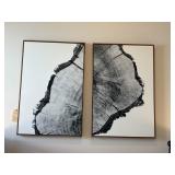 2PC FRAMED CANVASES