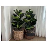 2PC FAUX FLOOR GREENERY