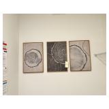 3PC FRAMED CANVASES