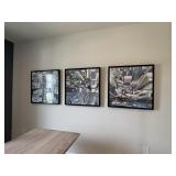 3PC FRAMED PRINTS