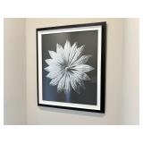 2PC FRAMED PRINTS