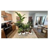 9PC ASSORTED FAUX PLANTS
