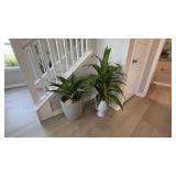 2PC ASSORTED FAUX FLOOR PLANTS
