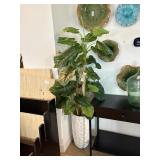 HOUSE PLANT