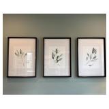 3PC FRAMED PRINTS