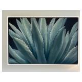 FRAMED CANVAS