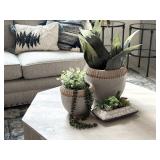 3PC ASSORTED DECOR
