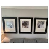 3PC FRAMED PRINTS