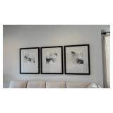 3PC FRAMED PRINTS