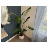 FAUX FLOOR PLANT