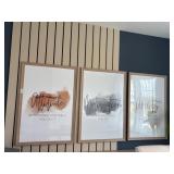 3PC FRAMED PRINTS