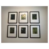 6PC FRAMED PRINTS