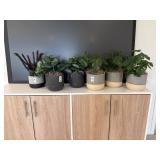 6PC FAUX PLANTS
