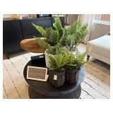 5PC DÉCOR ITEMS