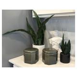 5PC ASSORTED DECOR