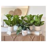 11PC DECOR ITEMS