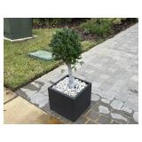 2PC OUTDOOR FAUX FLOOR PLANTS