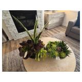 2 PC SUCCULENTS