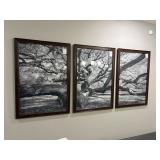 3PC FRAMED PRINTS