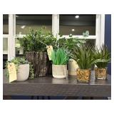 ASSORTED GREENERY