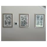 9PC FRAMED PRINTS