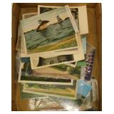 55 new & vintage souvenir postcards