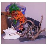 Aquarium supplies - Conch seashell - Driftwood &