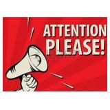 Terms of the Auction