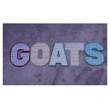 Metal decorator letters, 8.5" tall - Storage tote