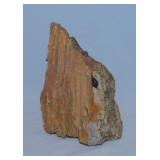 Petrified wood paperweight - 1940